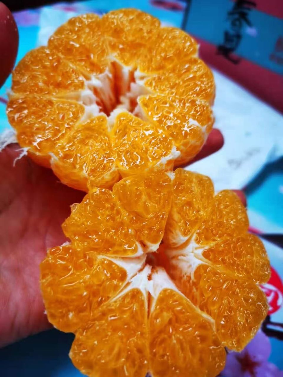 耙耙柑和不知火丑橘一样吗(耙耙柑丑八怪不知火)