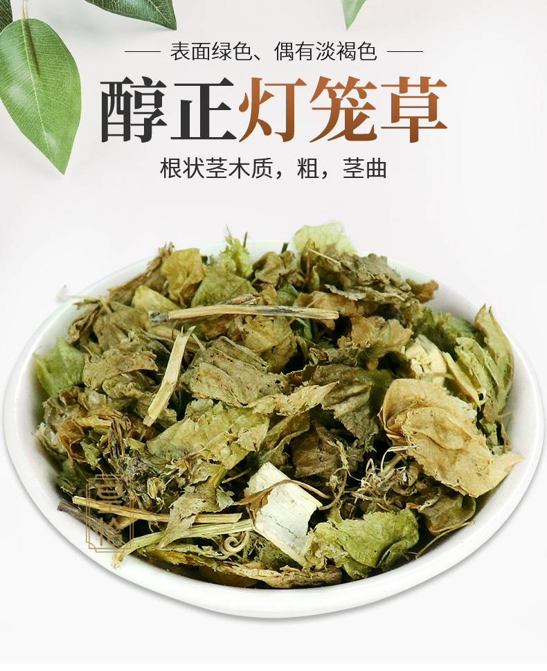 野生新鲜灯笼草灯笼泡鬼灯笼 苦灯笼 黄菇娘酸浆泡泡草中药材500g