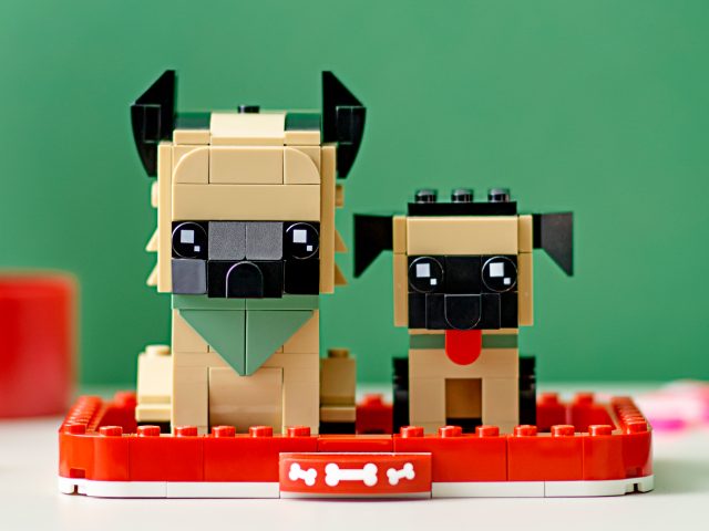 lego乐高方头大头人仔40440德国牧羊犬40441短毛猫宠物积木玩具 40440