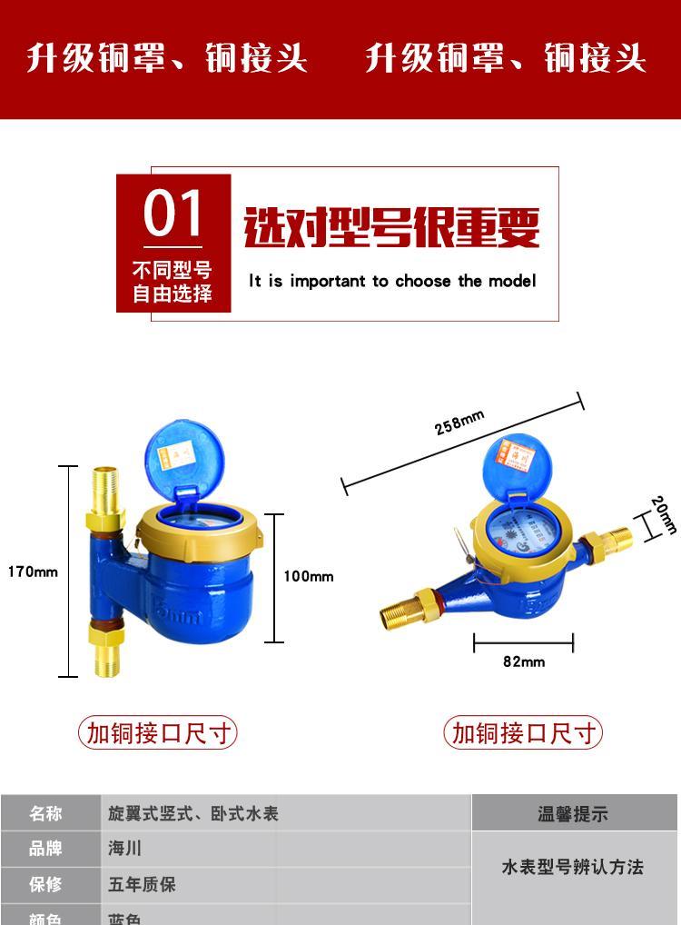 水表家用立式丝扣数字4分6分自来水旋翼式水表 卧式abs塑料6分(20)