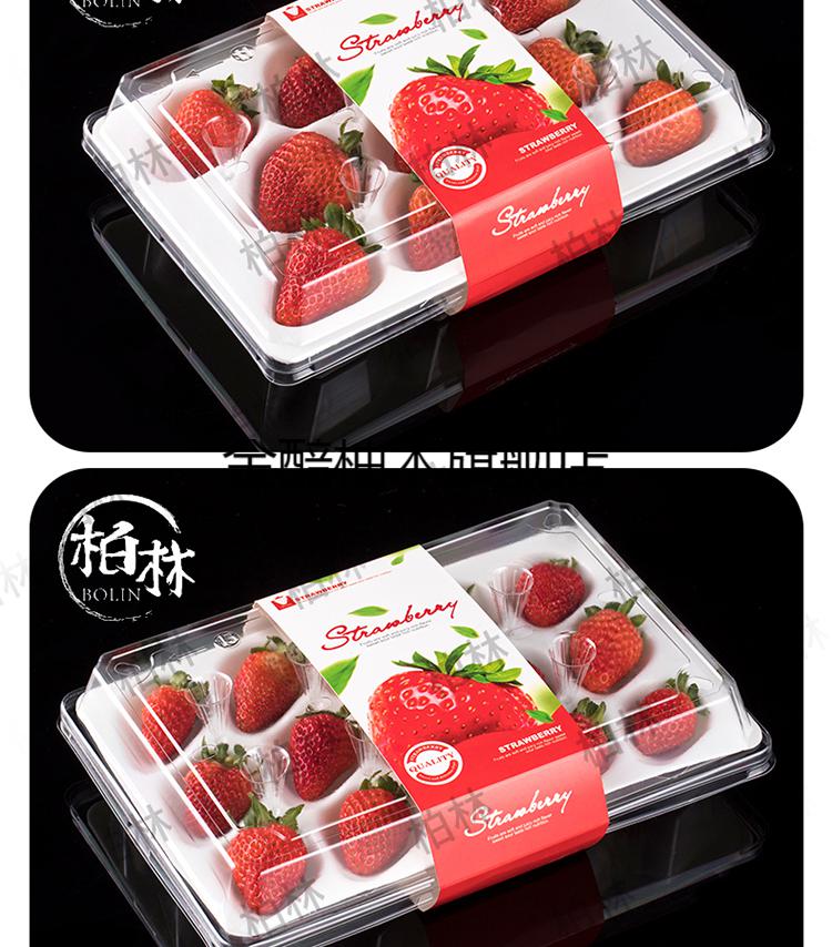 装草莓的一次性盒子草莓商用塑料包装透明泡沫带内托腰封网红美观打包
