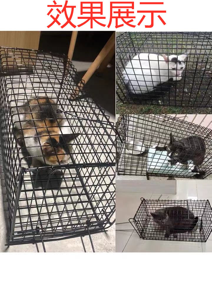 蓝羽蝶捕猫笼子大号抓猫捉猫神器自动捉猫笼子黄鼠狼笼逮猫笼老鼠笼