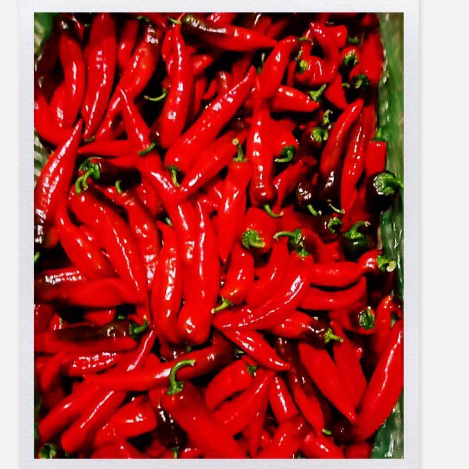 红辣椒新鲜特辣妹子美人椒薄皮大红色尖椒笨小辣椒青椒杭椒螺丝椒【8