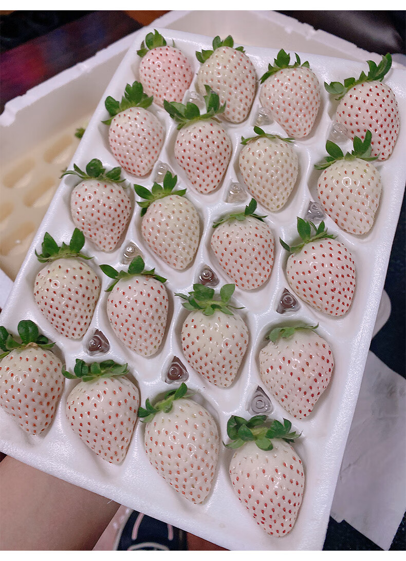 酥姿 淡雪白草莓当季新鲜水果【礼盒装】顺丰 500g 10g-15g【图片