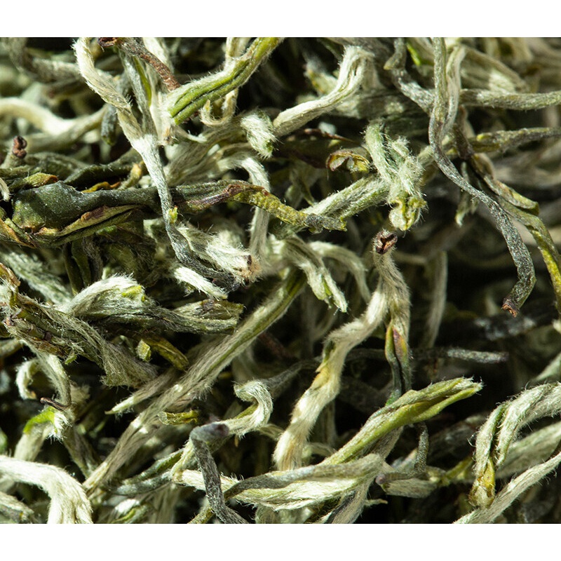 新茶春尖茶甘肃天水定西陇南煮罐罐茶临夏清茶500g兰州三泡台茶叶年货