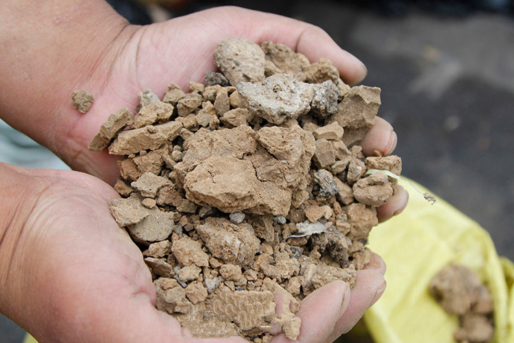 汐岩饼肥麻酱香油渣子马掌片腐熟花卉蔬菜盆景园艺通用有机瑰季麻酱