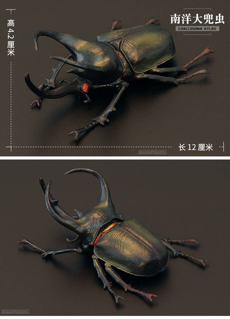 仿真昆虫 儿童实心节肢动物仿真昆虫玩具模型 蝴蝶 蜜蜂螳螂蝎子