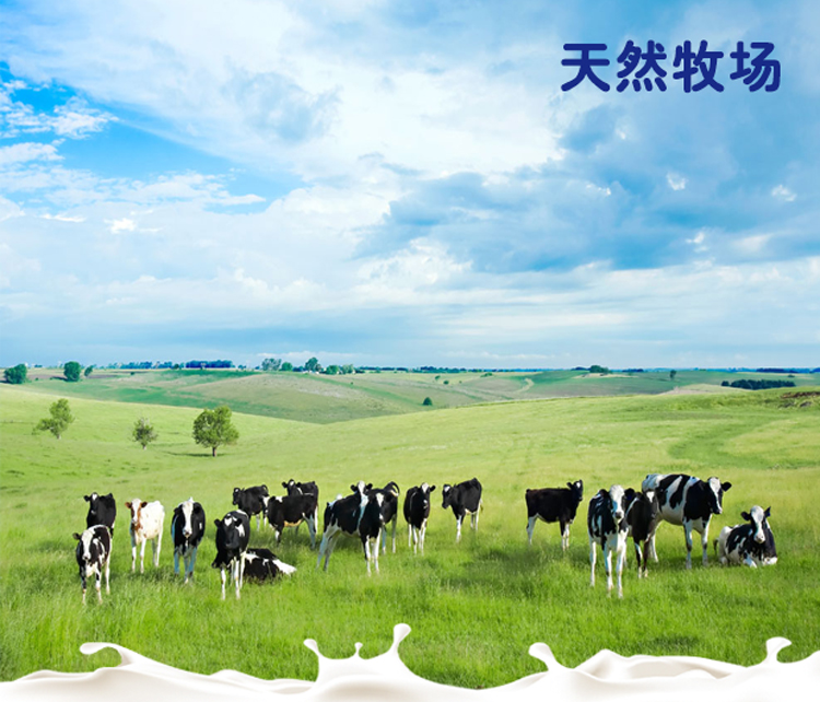 预售每日现挤草原新鲜纯牛奶订购顺丰孕妇儿童瓶装内蒙古呼伦贝尔15瓶