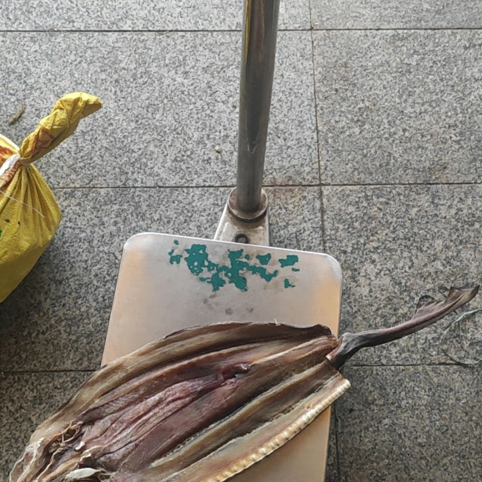 鲨鱼干北海特产海鲜干货海鱼干沙鱼干小沙鱼北海特产批发咸鱼干 2斤