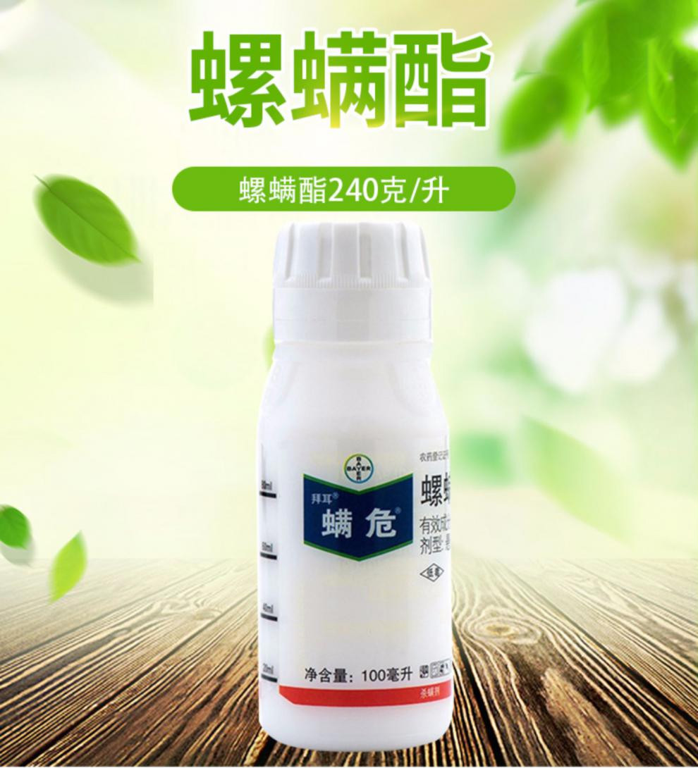 柑橘红蜘蛛有哪些特效药(杀柑橘红蜘蛛药配方)