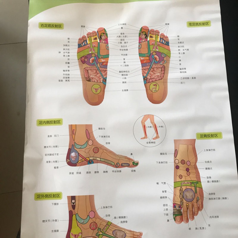 經絡圖足腿部經穴與反射區標準掛圖中醫書針灸穴位圖