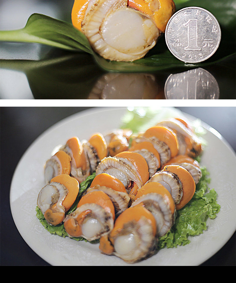 海鲜鲜活带黄扇贝肉特大号无沙海鲜冷冻真空包装无冰衣皇冠贝大号无冰