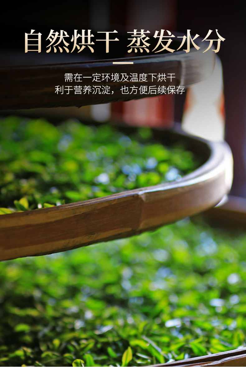 黎青茶 海南鳄嘴花茶 鄂 忧遁草茶干叶 优盾草清 黎王草100g【图片