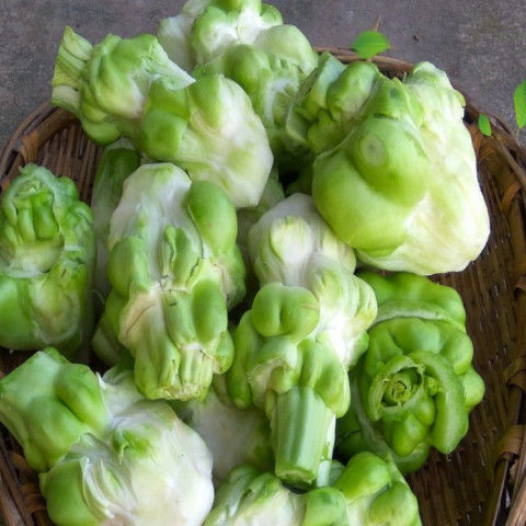 四川麻辣菱角菜青菜头香脆宜宾大头菜丝自制咸菜榨菜 菱角菜 250克*4