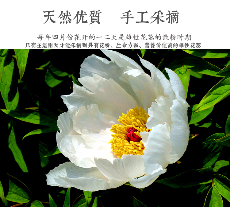 玺悦御品茶叶 菏泽特产 国花牡丹花蕊茶 牡丹花茶 茶叶2g*20支礼盒装