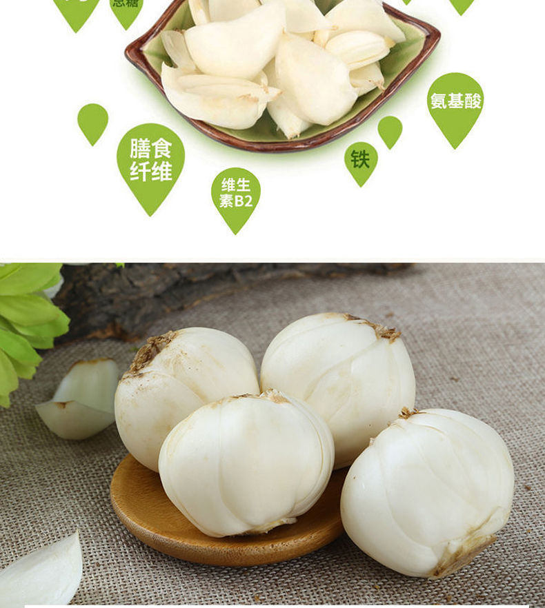 兰州鲜百合新鲜百合农家自产兰州鲜百合甜百合生百合甘肃特产百合一袋