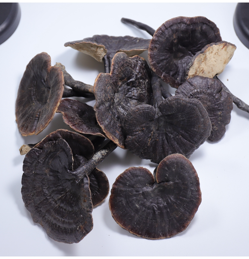 晓楚仁云南黑灵芝250克紫灵芝整枝泡酒泡水煲汤黑芝