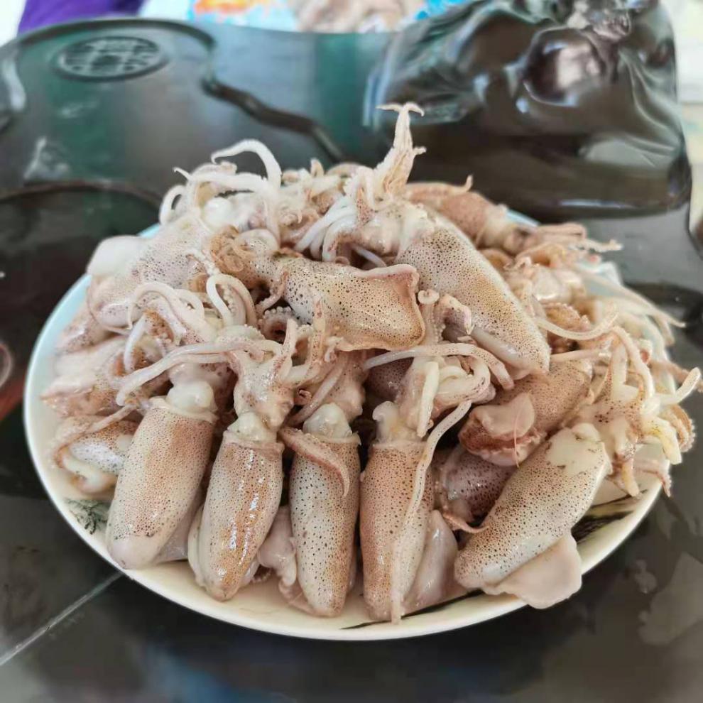 新货海兔笔管鱼盐渍海兔海鲜干货海兔干海产批发郎纳新威小海兔500g