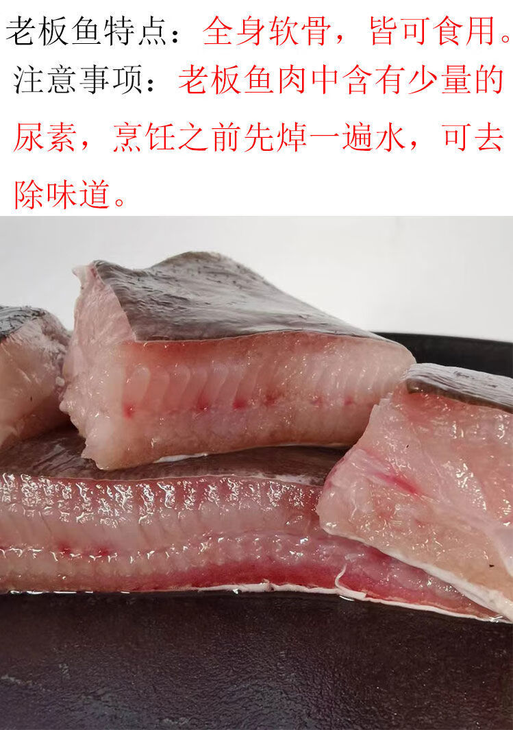 老板鱼新鲜海鱼鲽鱼鳐鱼软骨深海劳子鱼劳板鱼烟台水产新鲜冷冻4斤一