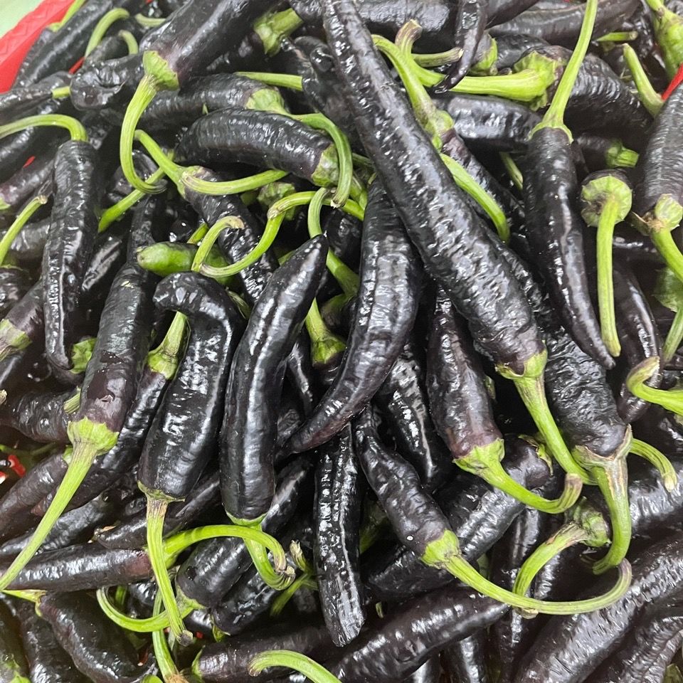 云南德宏农家自种新鲜黑辣子生辣椒很很爽口黑皮辣子不打农1斤