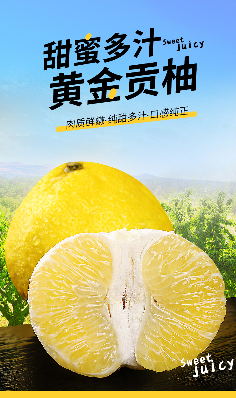 青樱红荔湖南黄金贡柚新鲜水果9斤柚子当季春香柚黄肉甜柚子10z3斤小