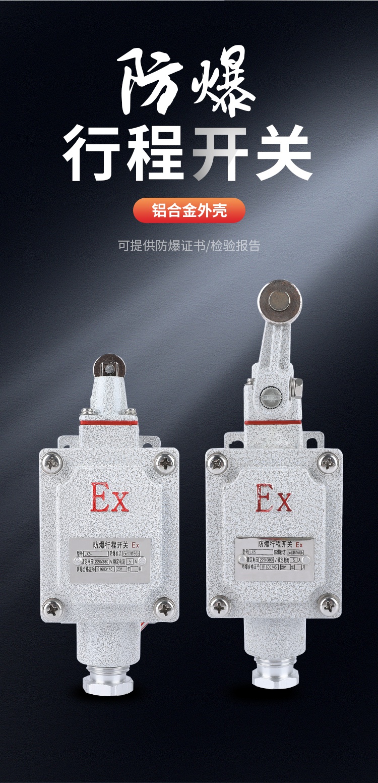 定制防爆行程开关限位b型dlxklx515b5d脚踏双踏柱塞lx5d滚轮zexz型