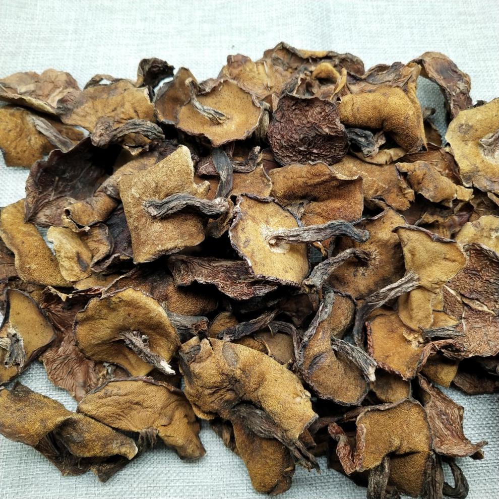 东北特产野生松蘑菇干货粘团子松蛾粘蛾子松蘑野生松菇年货