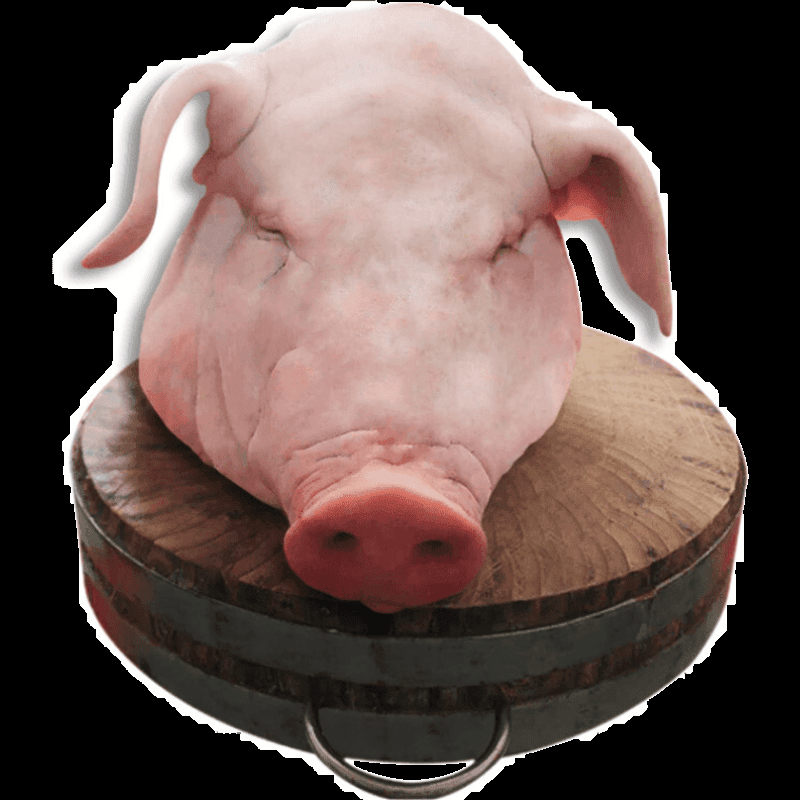 龙觇新鲜整只猪头无毛整个头干净猪脸猪头肉半边猪脸