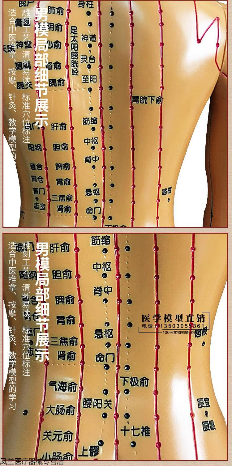 中医针灸穴位人体模型十二经络图铜人体穴位模型人全身小皮人彩色软质