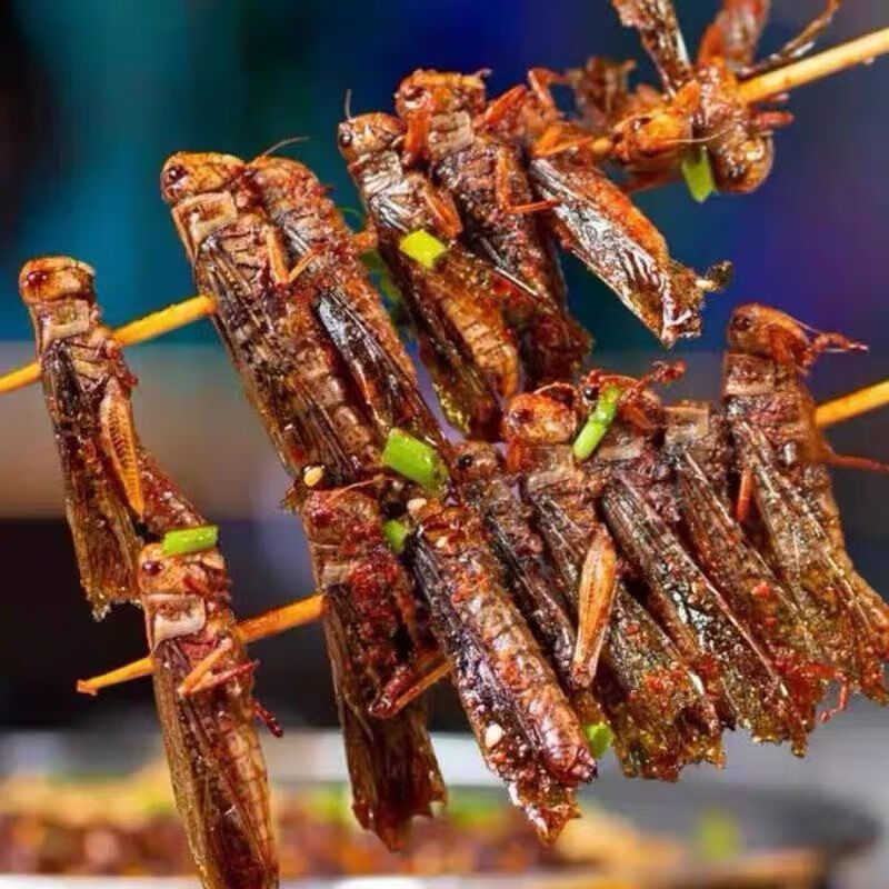 【保价双11】馋大嘴巴 网红蚂蚱串酥脆特色油炸小串昆虫蝗虫串20串一