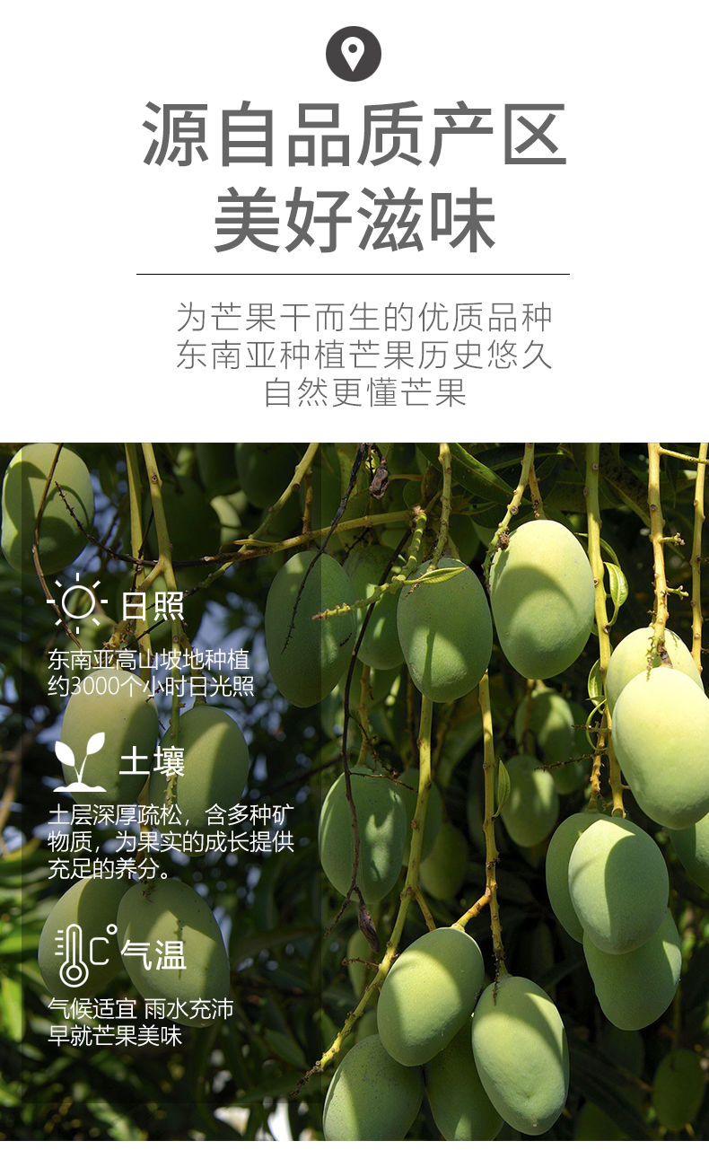 橙伯乐松姑娘泰国风味芒果干批发500g100g袋水果干蜜饯零食芒果干袋装