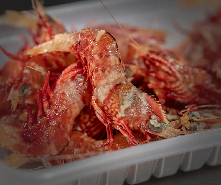 南屿海堂鸡冠虾东山岛海鲜大头虾刺身海虾250g1盒