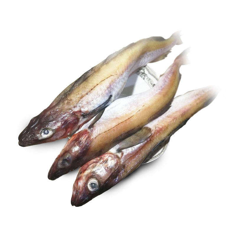 延边明太鱼新鲜冷冻 狭鳕鱼船冻单条2000g