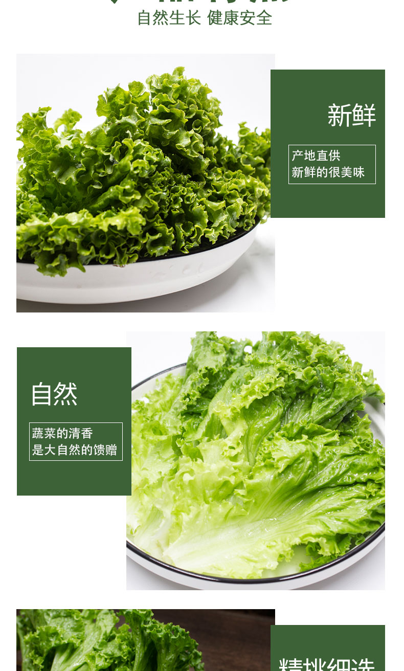 新鲜绿500g绿毛罗莎生菜健身清洗即食蔬菜轻食沙拉菜蔬菜沙拉500g