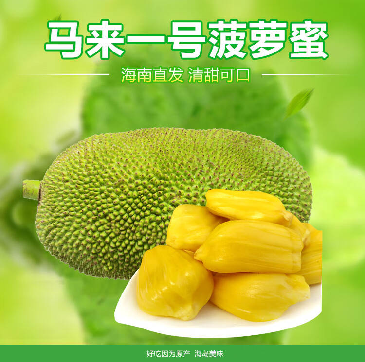 海南黄肉波罗蜜10-30斤当季新鲜水果热带黄心菠罗蜜现摘现发 10-15斤
