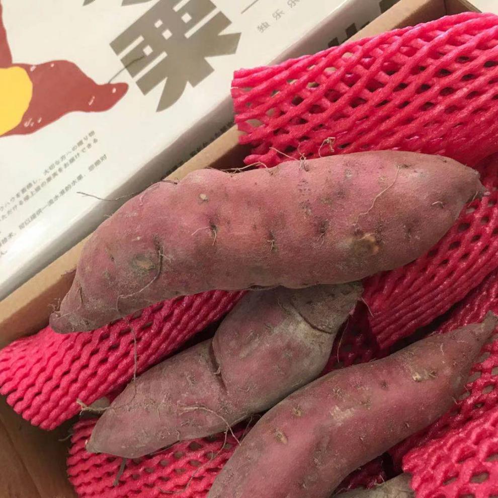 海南澄迈桥沙地瓜新鲜硒板栗红薯一人一口原箱5斤 精选礼盒装 5斤