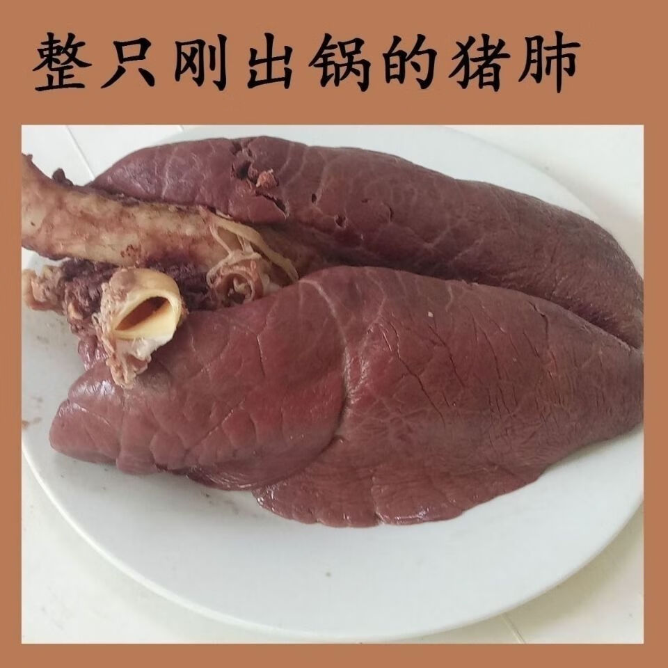 卤猪肺五香猪肺无油免洗新鲜下酒猪肺头真空免加工批发即食熟猪肺 坏