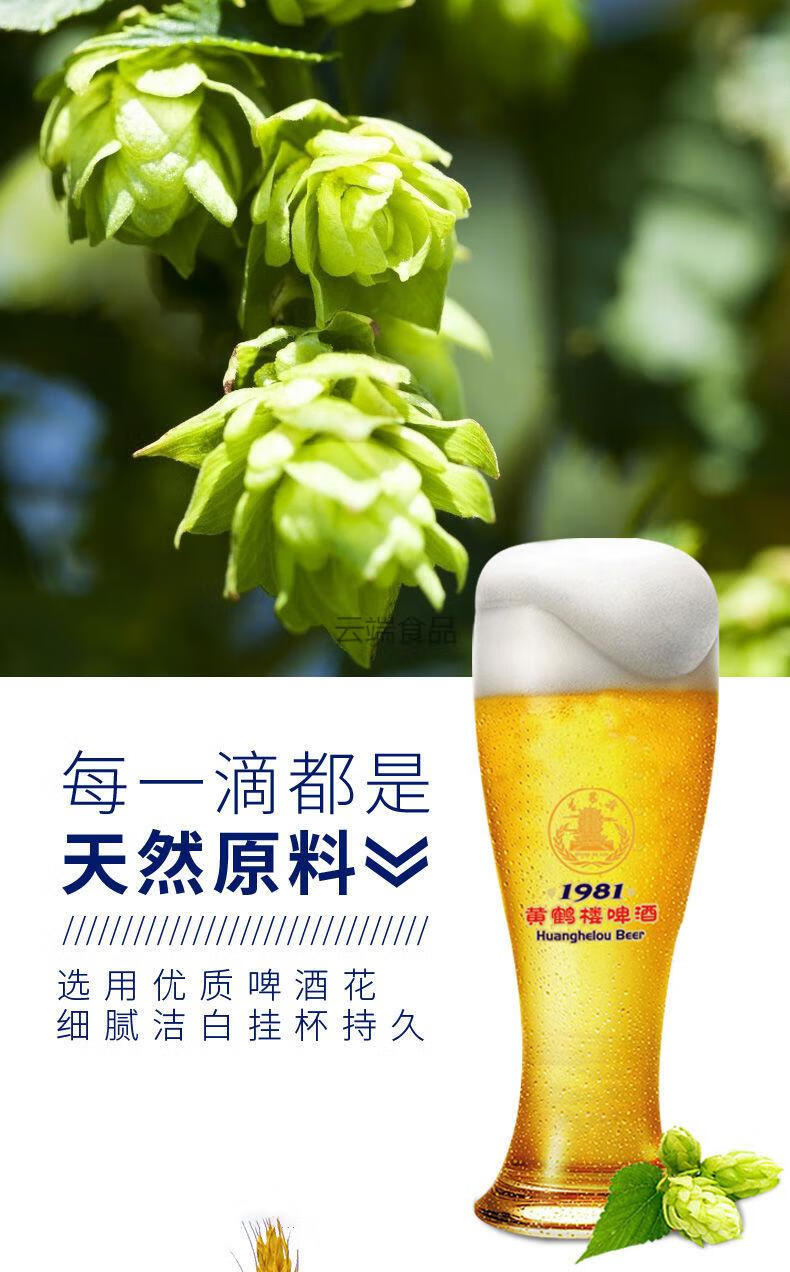金荞麦风味8度苦荞啤酒500ml330ml6罐夏日新日期330ml6罐