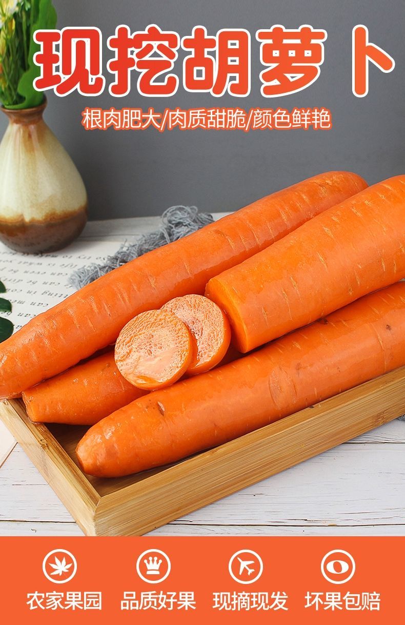 媚调 山东新鲜胡萝卜10斤当季沙地蔬菜萝卜现挖农家自种水果红萝卜 9