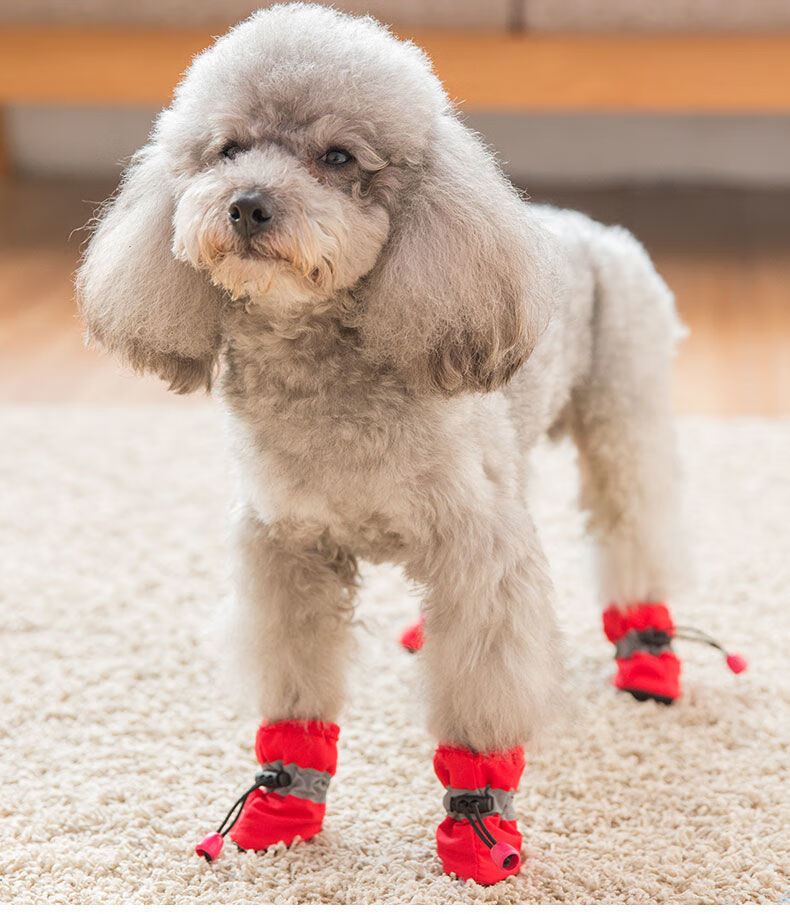 精选小狗狗的鞋子泰迪小型犬宠物比熊防掉鞋套雨鞋防水不掉脚春秋软底