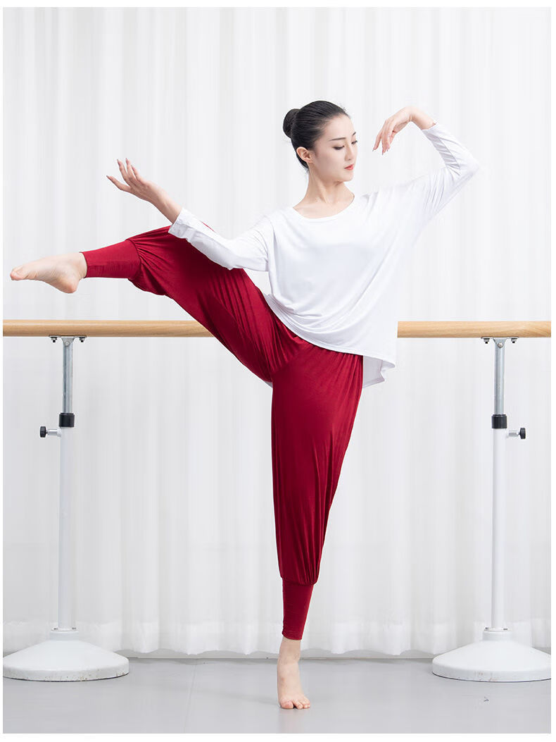 红舞鞋3573舞蹈服女现代舞长袖莫代尔中国舞宽松训练民族舞练功服浅