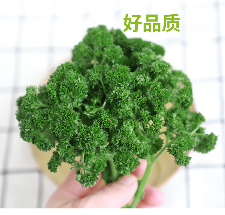 荷兰芹皱叶欧芹叶新鲜蔬菜蕃茜洋芫荽西餐法香250g