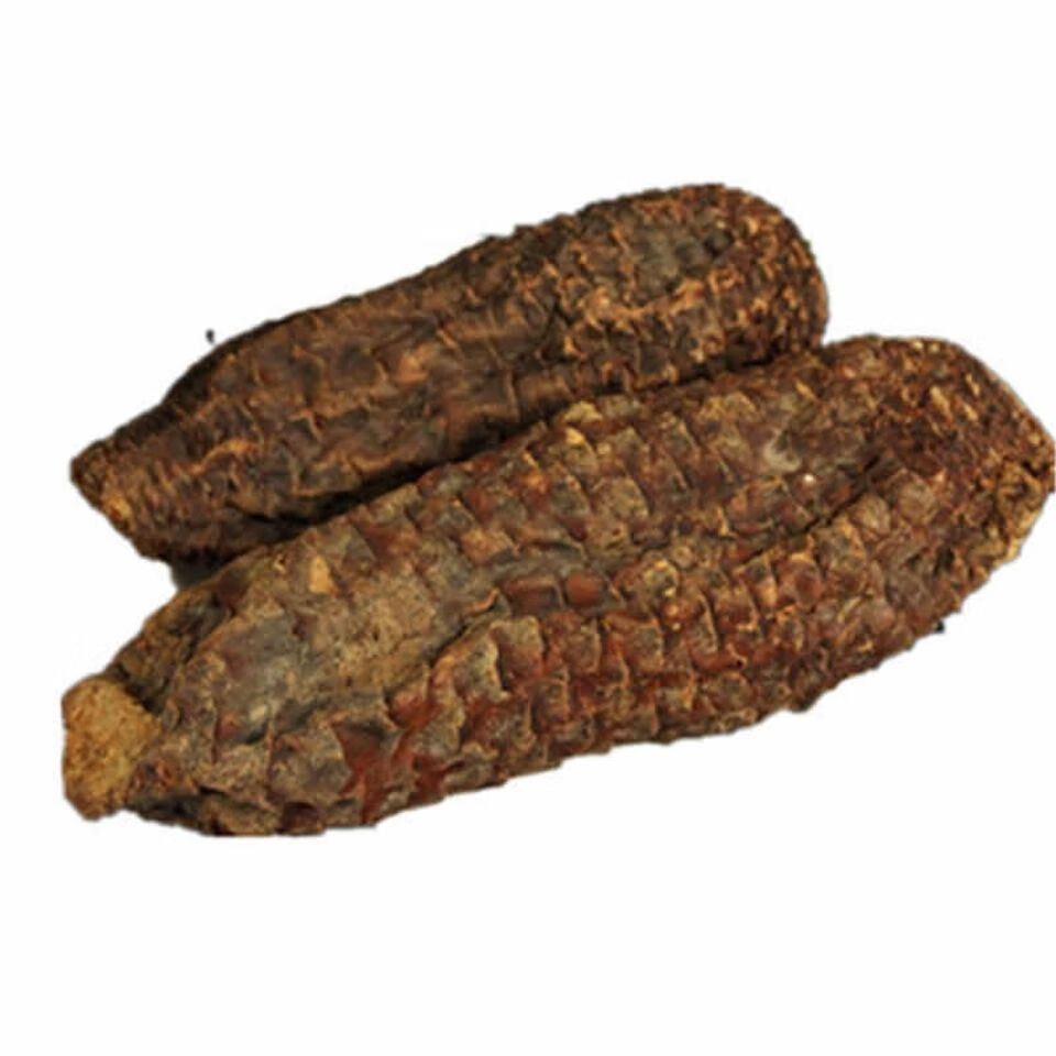 肉苁蓉新疆野生沙漠大云泡酒料会春草肉苁蓉肉苁蓉个500克