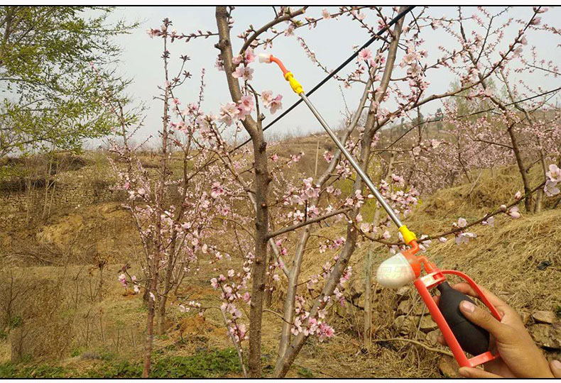 手动授粉器喷粉枪梨苹果授粉机点花器猕猴桃授粉神器花粉授粉工具亿程