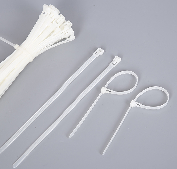 恒日晟自锁式尼龙扎带固定塑料捆扎带20根装单拍