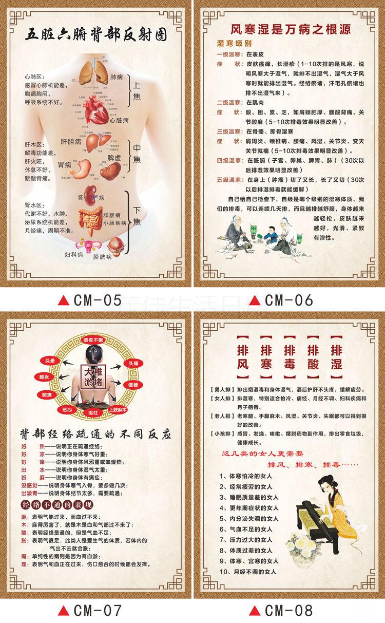 中医挂画 养生馆体质辨识美容院养生理疗墙贴画淤堵生病经络不通危害