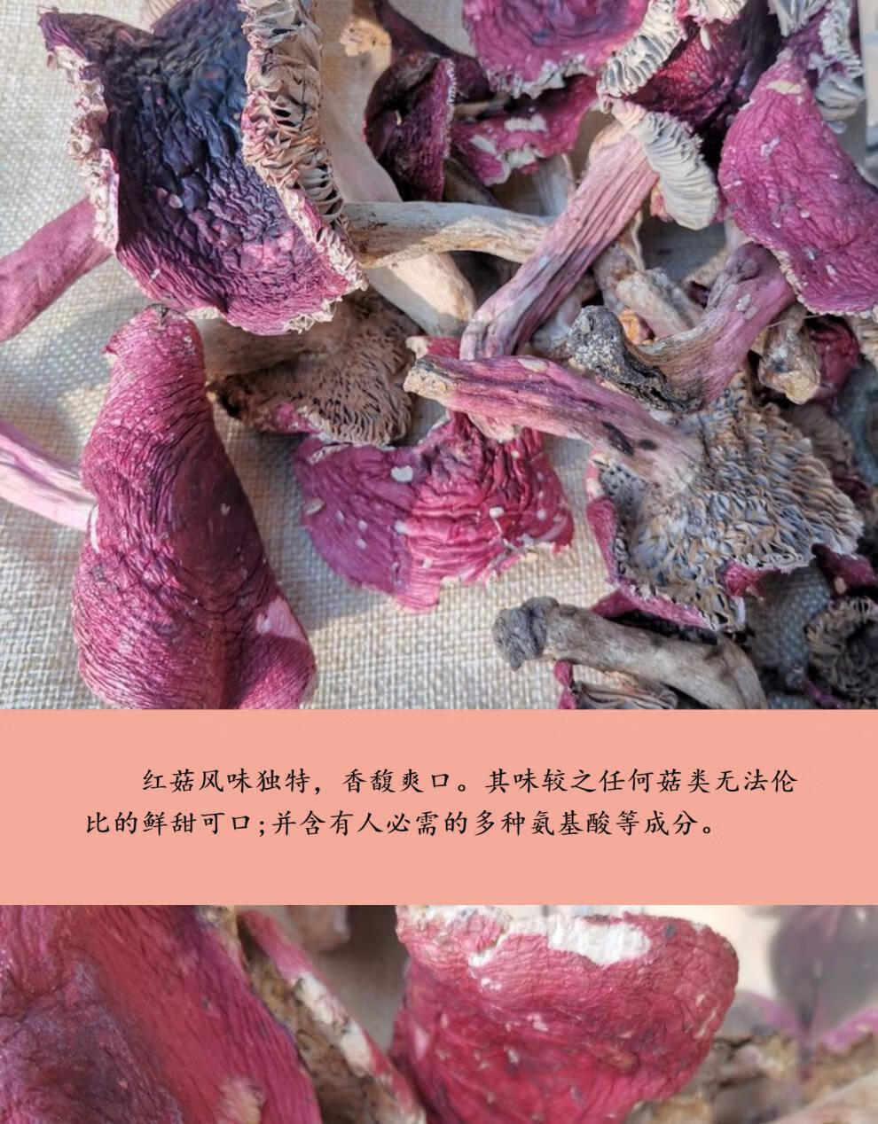 野生红菇开菇干货 云南山珍野生菌精选500克稀珍贵营养价值高保真