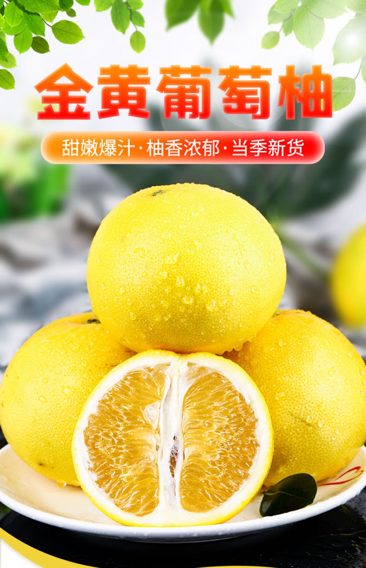 (顺丰速运)福建漳州黄金葡萄柚子西柚新鲜水果 孕妇高端礼盒树上熟