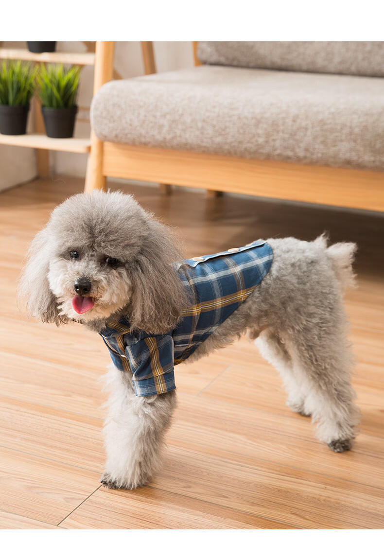 小狗狗衣服春夏季薄款透气格子衬衫中小型犬幼犬猫咪宠物两脚衣服 米