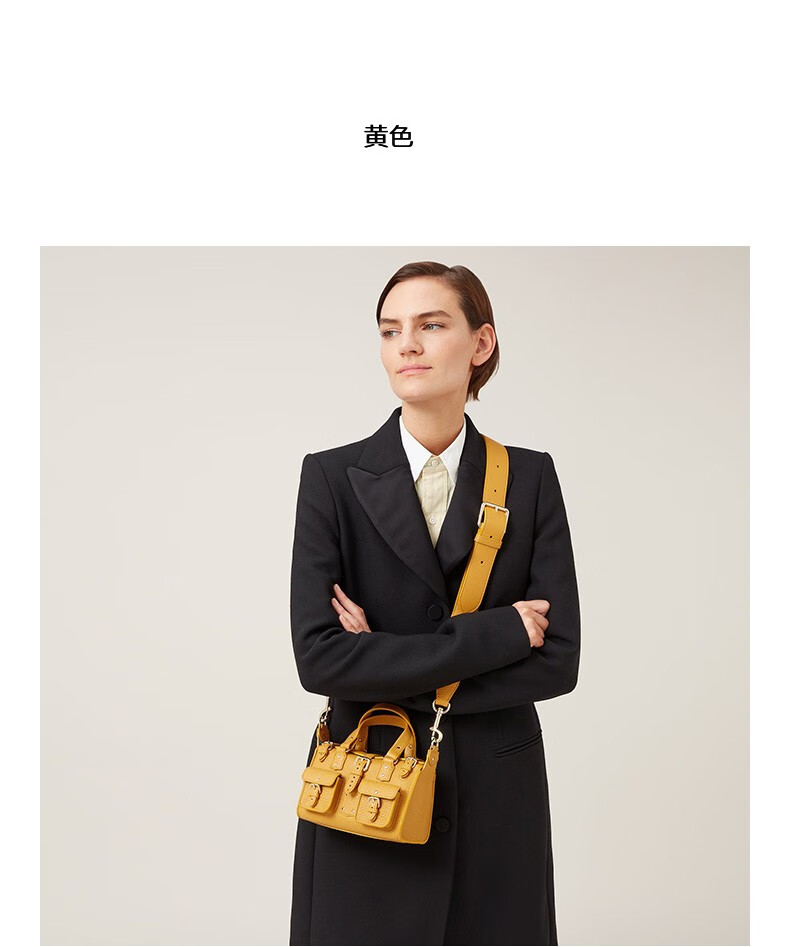 618狂欢价mulberry玛珀利新款50周年限定roxanne迷你单肩手提包rl6807